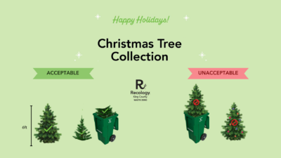 Holiday Tree Collection Reminders Image