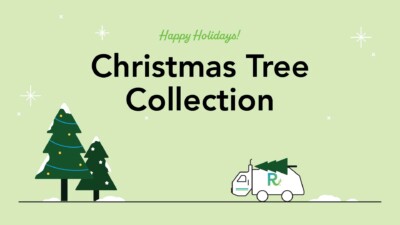 2025 Holiday Tree Collection Image